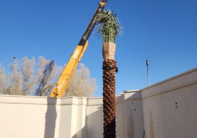 Screenshot_٢٠٢٥٠٤٢٣-١٨٤٦٥٢_Haraj