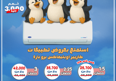 -البطريق-المجمع-23-6-2025