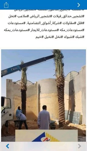 مقاول شبوك وزراعه نخيل