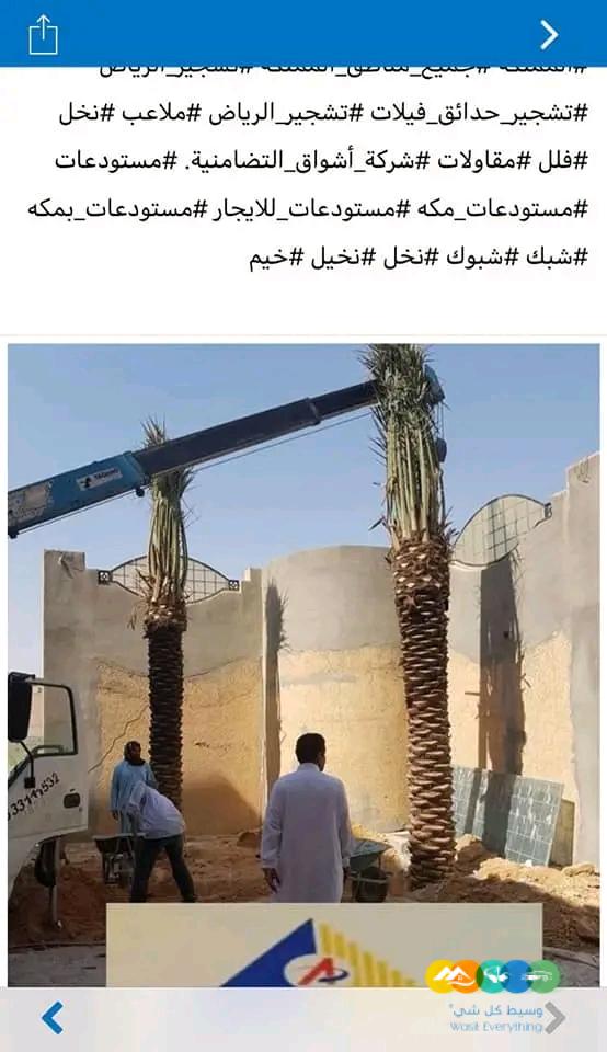مقاول شبوك وزراعه نخيل