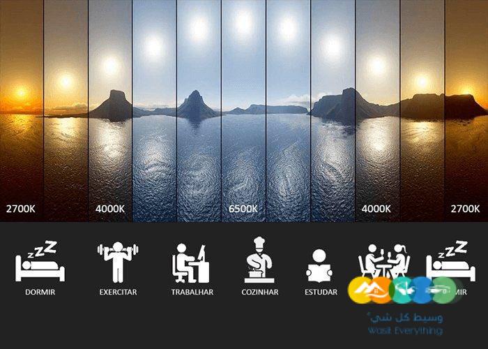 تصميم و تنسيق و توزيع إنارة داخلية و خارجية في الرياض