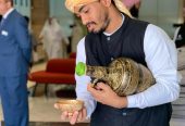 صبابين قهوه مباشرين قهوه 0556558989
