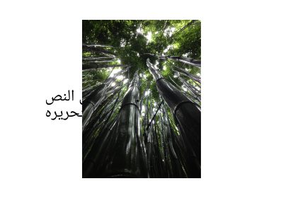 Untitled-Design_4