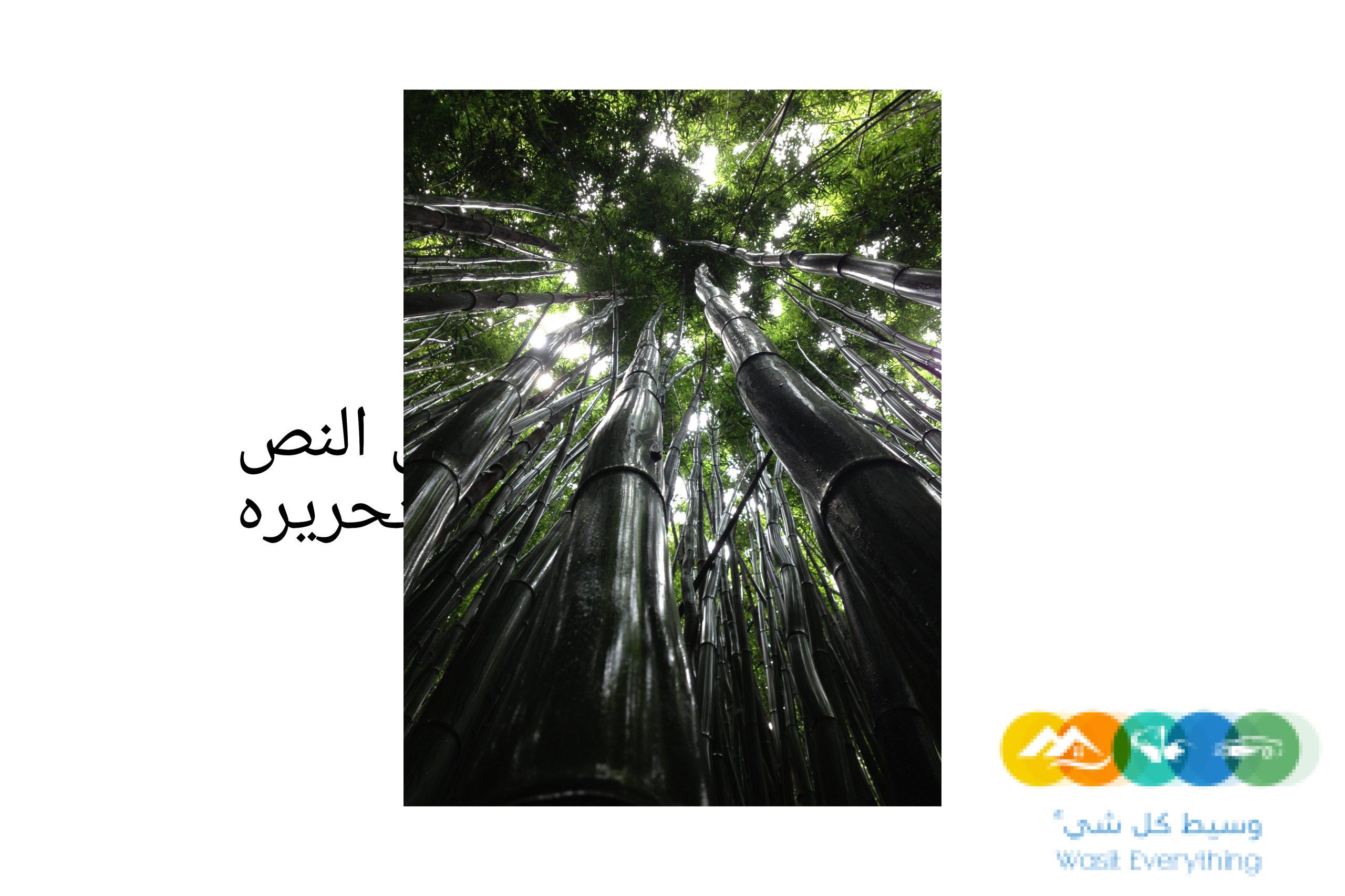 مقاول شبوك وزراعه نخيل