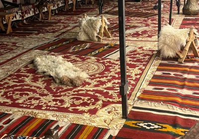 WhatsApp-Image-2024-08-09-at-6.57.39-PM-1