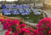 ايجار خيام,كنب شعبي,ايجار كنب ملكي, ايجار تراثيات