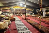 تأجير كنب جلد ابيض, جلسات مودرن ,بيوت شعر,خيام