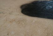 تنفيذ اسفلت و ردم و تسوية و تخطيط طرق بالرياض