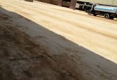 أعمال اسفلت بالرياض ، تخطيط الطرق
