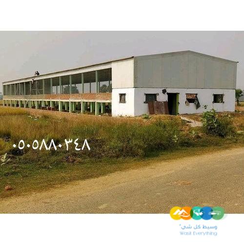 هناجر ساندوتش بانل في الرياض