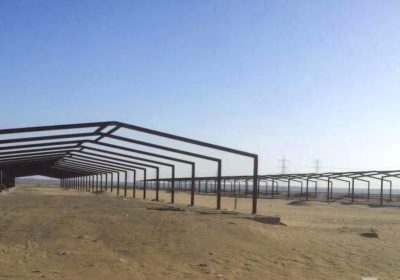 WhatsApp-Image-2025-03-04-at-5.49.52-PM-1