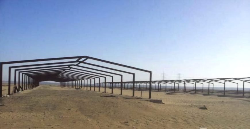 حظائر دواجن تركيب وتوريد عنابر الدواجن