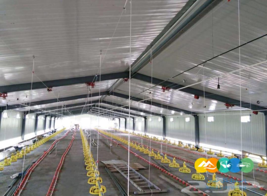 حظائر دواجن تركيب وتوريد عنابر الدواجن