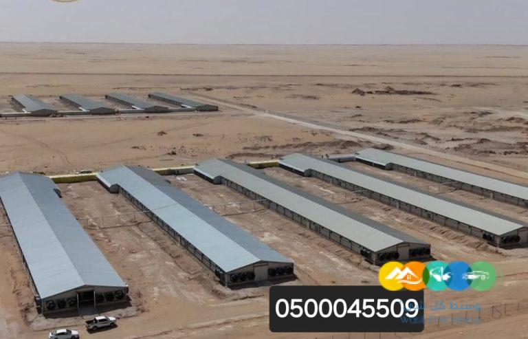 حظائر دواجن تركيب وتوريد عنابر الدواجن