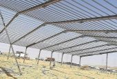 حظائر دواجن تركيب وتوريد عنابر الدواجن