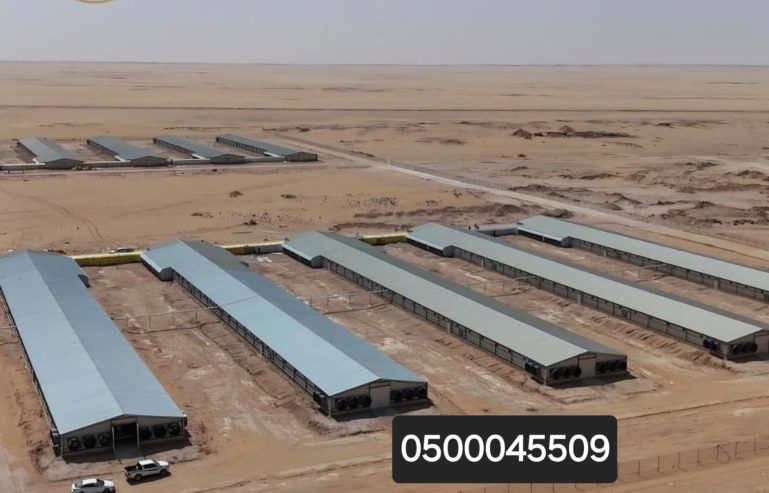 شركه تركيب هناجر ومستودعات بالرياض