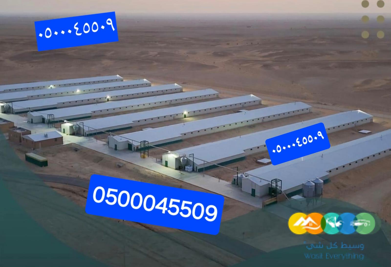 بناء هناجر ومستودعات