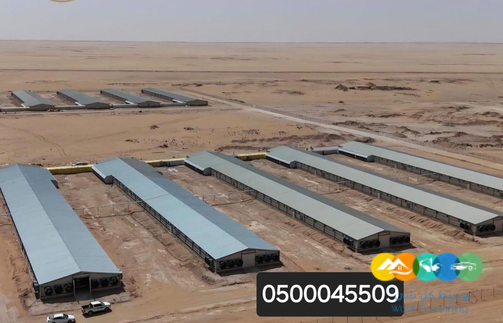 بناء هناجر ومستودعات