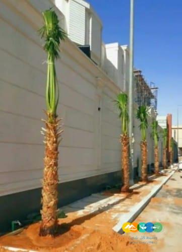 مقاول.شبوك 0500141664 سياج شبوك