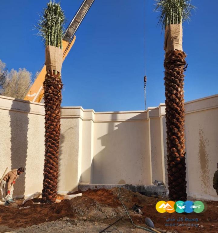 مقاول.شبوك 0500141664 سياج شبوك