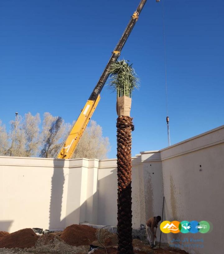 مقاول.شبوك 0500141664 سياج شبوك