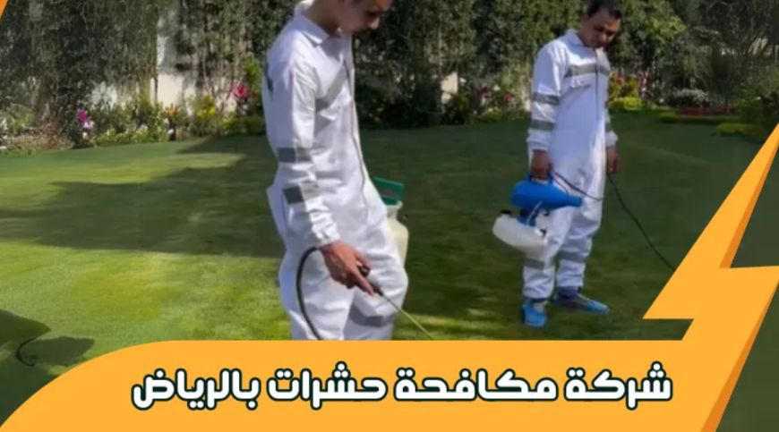 شركة مكافحة حشرات بالرياض