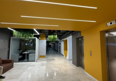 2161815e-5211-42cb-9869-029fd2646787-1