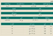 ارض سكنية مميزة للبيع مكة المكرمة