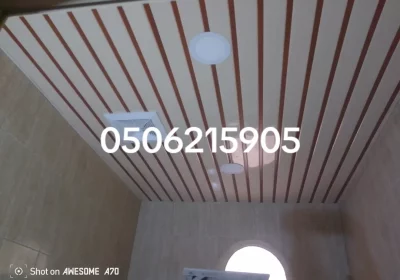 fab4321b010856461859b3466f7f6251_0