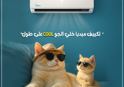 -ميديا-كول-القطط