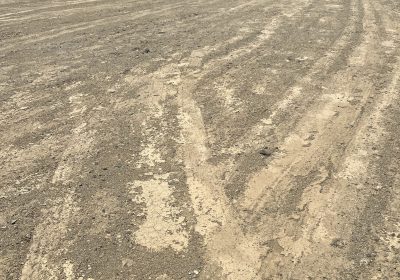 2F7449FD-AE08-4AD5-B1C4-A0998C5C2517