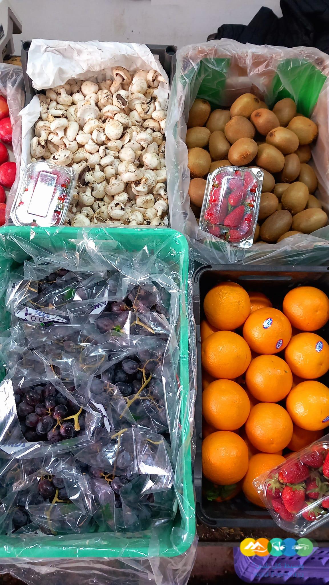 شركة نهر الامداد لتوريد الفواكة والخضروات الطازجة بجدة