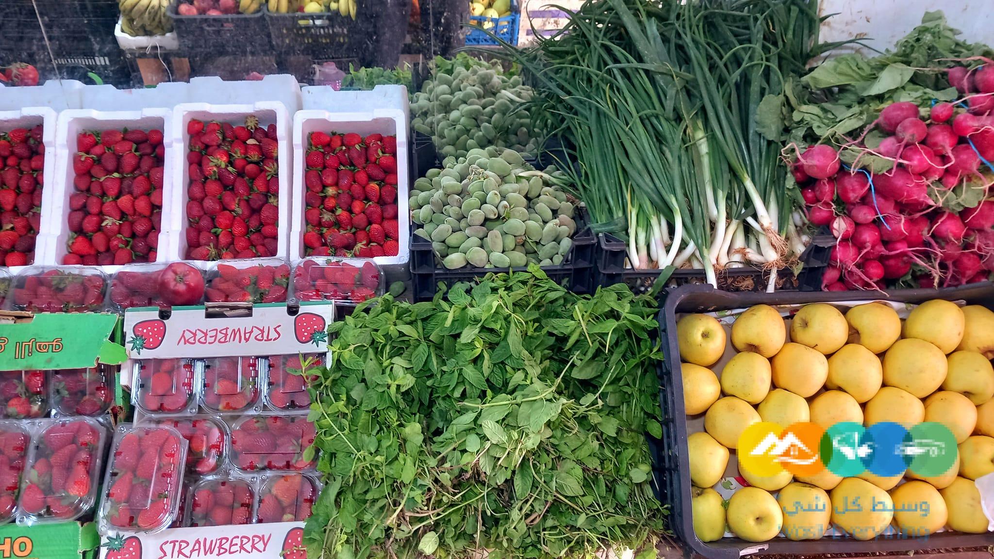 شركة نهر الامداد لتوريد الفواكة والخضروات الطازجة بجدة