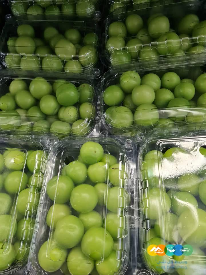 شركة نهر الامداد لتوريد الفواكة والخضروات الطازجة بجدة