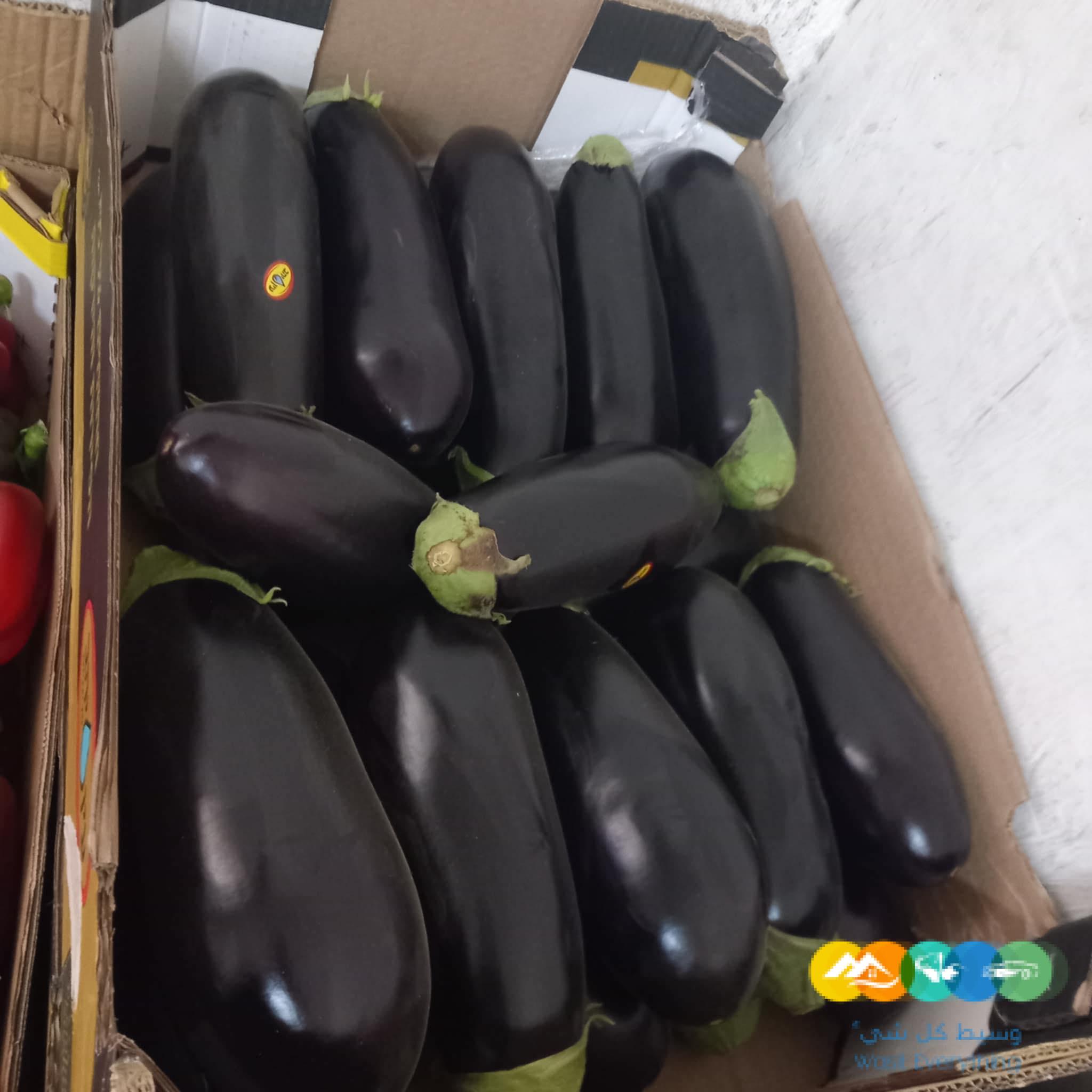 شركة نهر الامداد لتوريد الفواكة والخضروات الطازجة بجدة