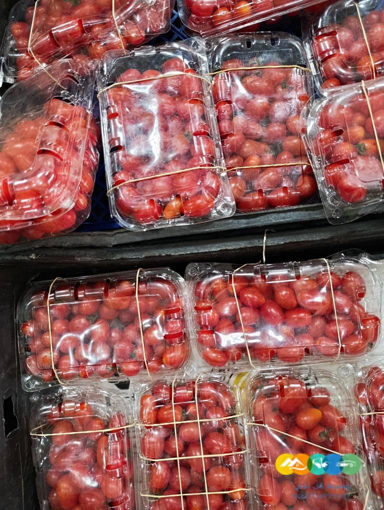 شركة نهر الامداد لتوريد الفواكة والخضروات الطازجة بجدة