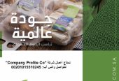 قصر الشركات – أفضل شركة تصميم بروفايل شركات في العالم ا
