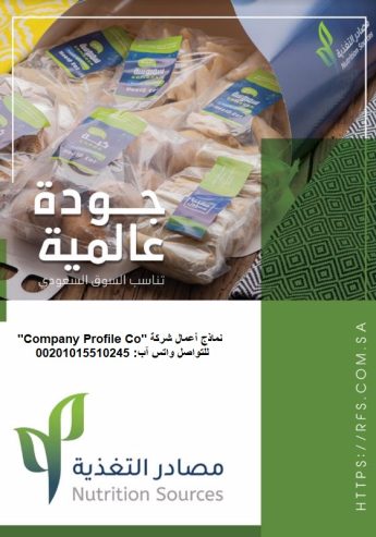 قصر الشركات – أفضل شركة تصميم بروفايل شركات في العالم ا