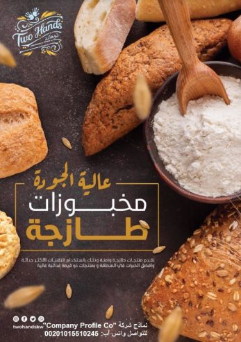 قصر الشركات – أفضل شركة تصميم بروفايل شركات في العالم ا