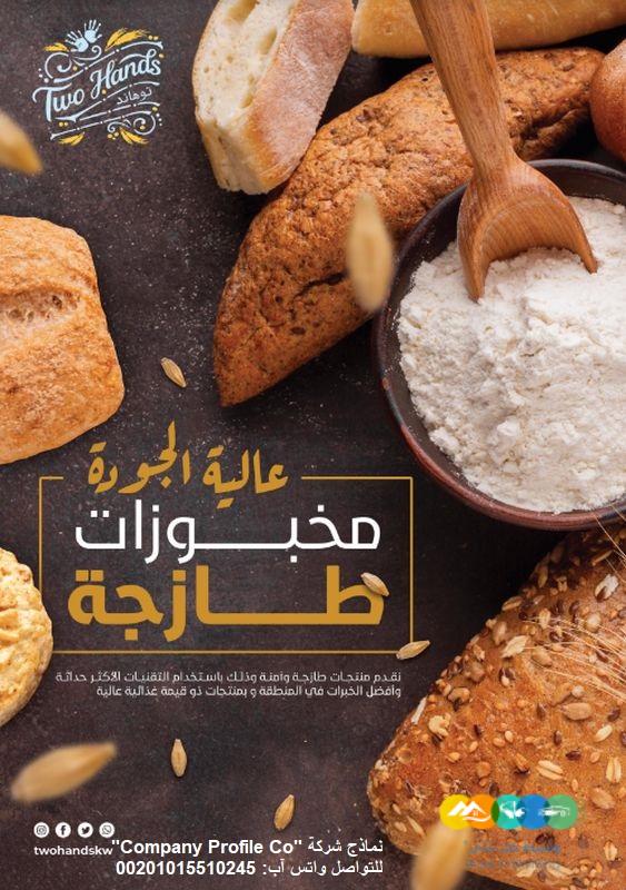 قصر الشركات – أفضل شركة تصميم بروفايل شركات في العالم ا