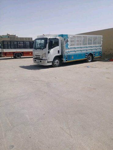 دينا نقل عفش شمال الرياض حي العليا 0567781387