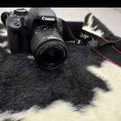 EA16252B-CADE-48CF-BD8D-10187132595F