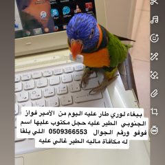 95756683-9906-4E13-98EC-A4C4B31092D5